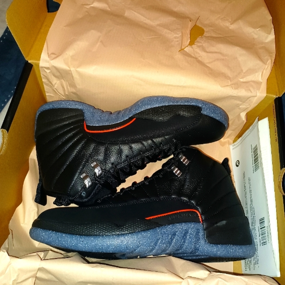 Jordan retro 12
